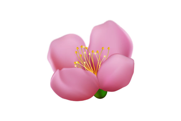 Sakura Flower Cherry Vector: A Versatile Design Element